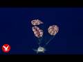 Watch the dramatic moments of Artemis II's safe return to Earth