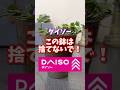 ダイソー、この鉢は捨てないで！ #ダイソー #daiso #観葉植物 #houseplants