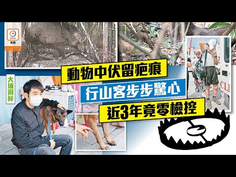 【on.cc東網】捕獸器遍山頭　虐畜害人　漁署放任