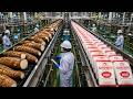 Inside the Massive MSG Production Factory: How Umami is Made