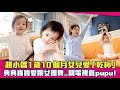 趙小僑1歲10個月女兒愛「乾杯」　典典寶寶愛跳女團舞..關電視氣pupu！