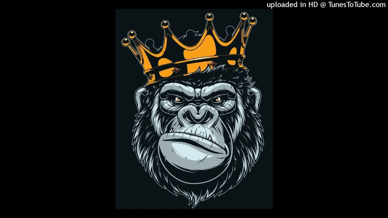 Absolute'MusiQ - khoto