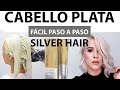 COMO HACER PELO PLATA PERFECTO FACIL PASO A PASO. ICE SILVER HAIR +