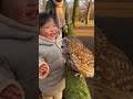 フクロウが鼻ツン→子供くすぐったい笑い🦉😊 #park #kids #owl #cute #japan @chiero_piero