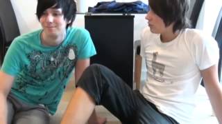Gay Chicken Gay Chicken