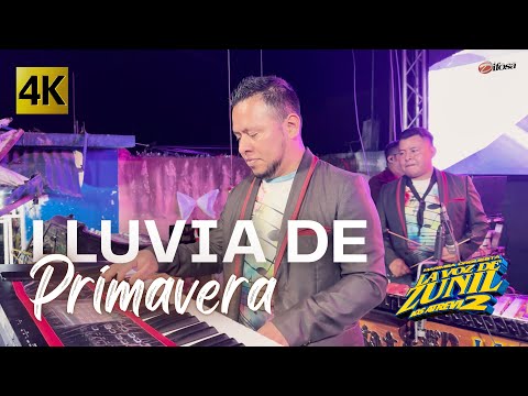 Marimba Orquesta La
