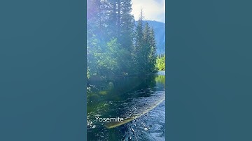 Back from Yosemite! There was a bear, it was beary awesome.