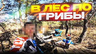 Поехали с другом на питбайках в лес по грибы/ Покатушка на питбайках