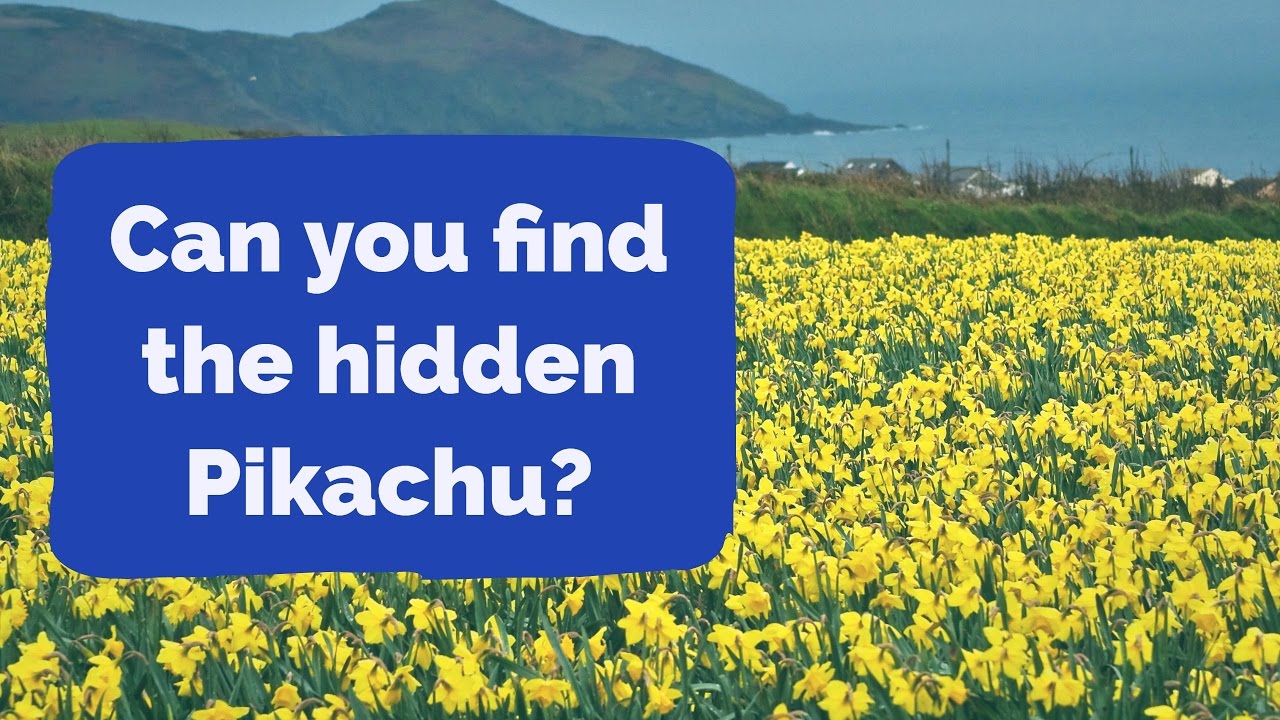 👁 Pokemon Optical Illusions 👁 YouTube