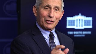 White House COVID-19 team holds virtual meeting with Dr. Fauci