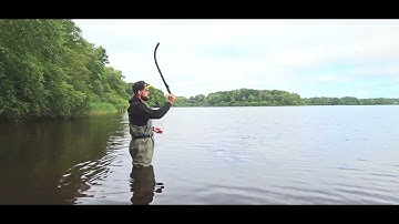 Lance bouillettes CANOON Delphin Pêche