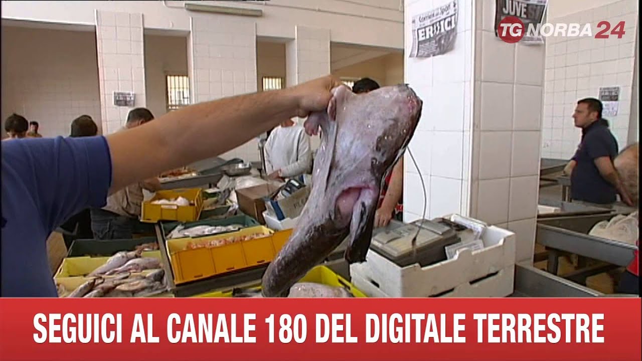 MOLA DI BARI  PROTESTA PESCATORI