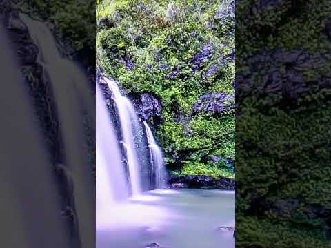 Egzonibrahimi Vairalvideo المصحف Quranrecitation القزابري 