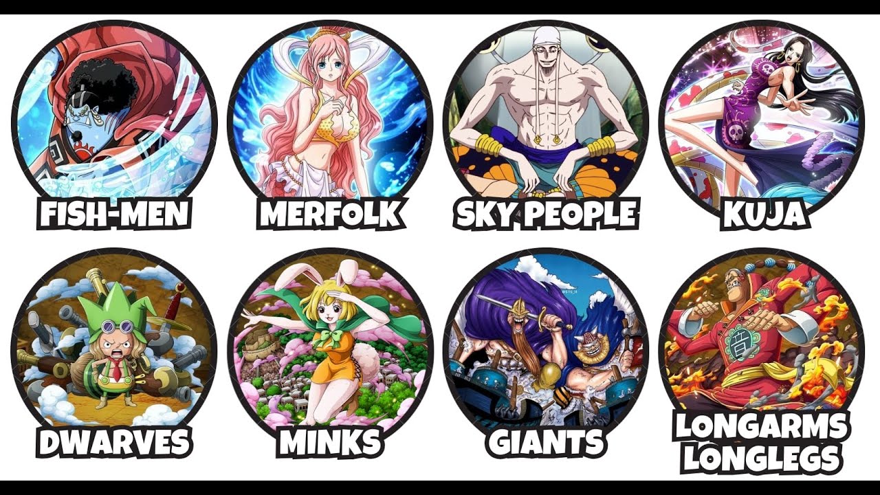 Every Race in One Piece Explained in 14 Minutes