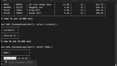MariaDB - Basic Date and time functions.