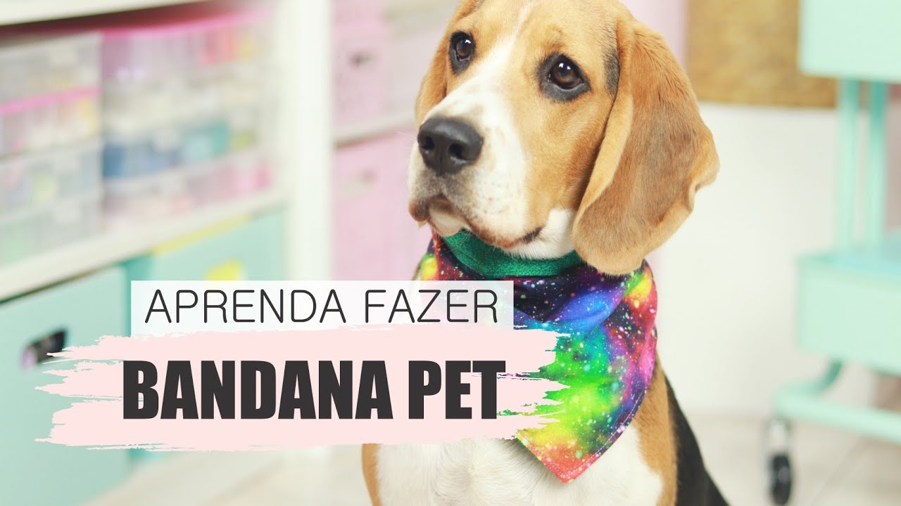 Tutorial | Diy| BANDANA PET (PP, P M e G), faça e venda!