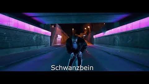 Apache 207 YouTube Kacke