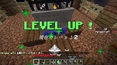 配布ワールド The Unusual Skyblock