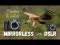 Mirrorless vs DSLR for wildlife photography | 5 reasons you should switch now!