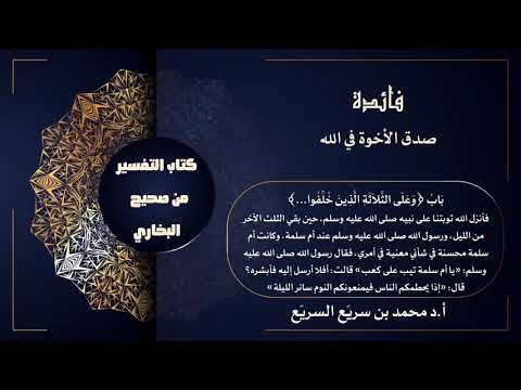 فائدة صدق الأخوة في الله د محمد السريع 