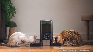 Program Tutorial for Oneisall PF11  Pet Feeder with 2 Cameras