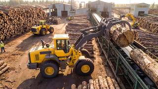 Inside the World's Largest Wood Factory — How Giant Logs Become Plywood & Furniture (Full Process)