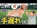 【その症状実は危険です】サインが出ているのに気付かない「〇〇性の病気」について獣医師が解説！