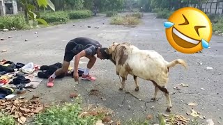 Try Not to Laugh 😂😂 | Top Funniest Videos Ever 🔥 | Memes | Epic Fails