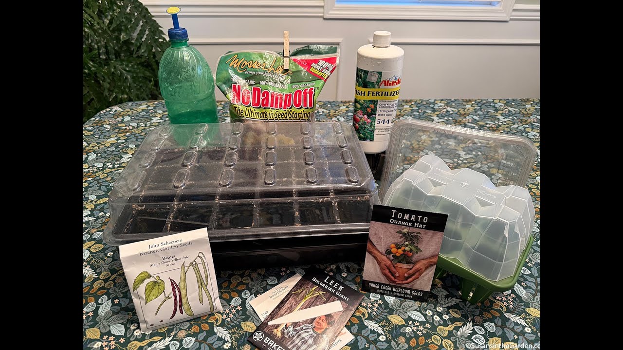 Seed-Starting Basics (2026) #4