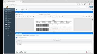 Wisej.NET + Passero  Framework demo