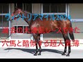 ヴィクトリアマイル 2024 過去の穴馬と酷似 超人気薄に買い材料あり