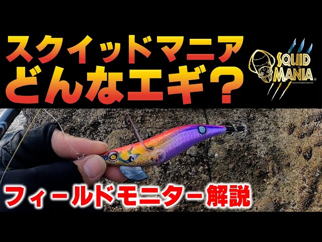 What is a Squid Mania Egi? Field Monitor Explains! - YouTube