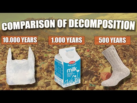 💨How Long Does It Take Garbage to Decompose?