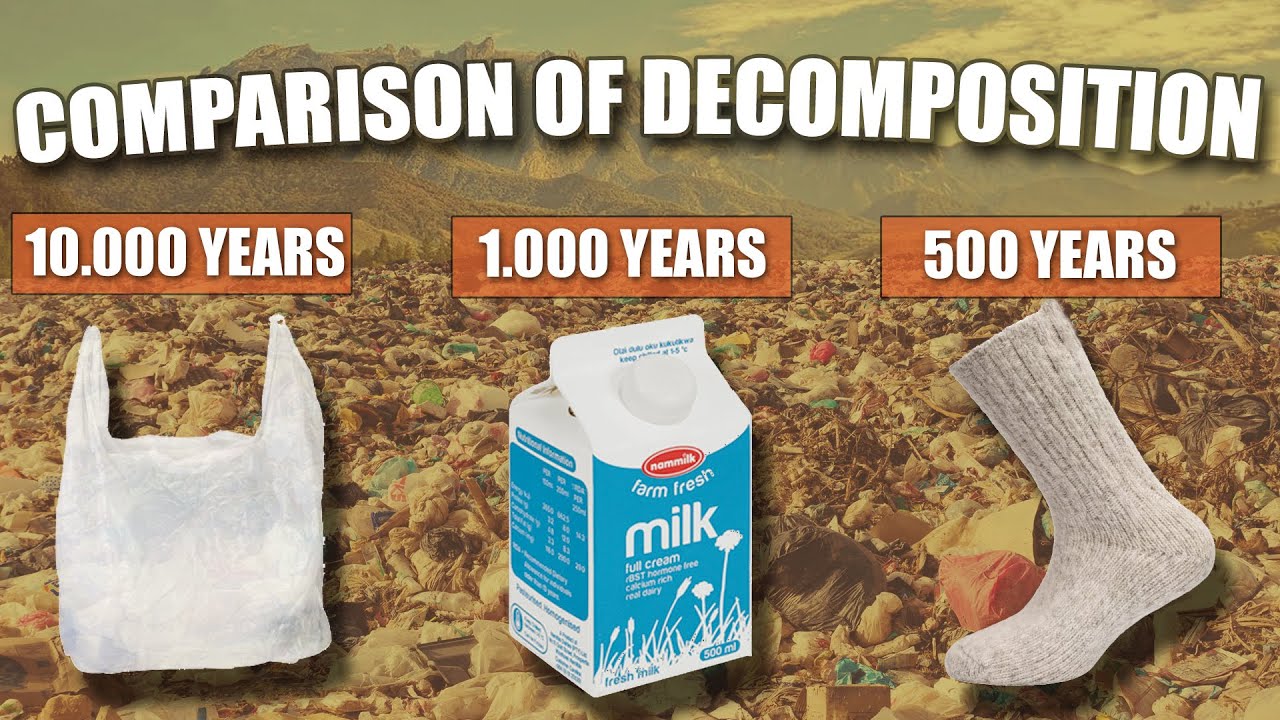  How Long Does It Take Garbage To Decompose YouTube