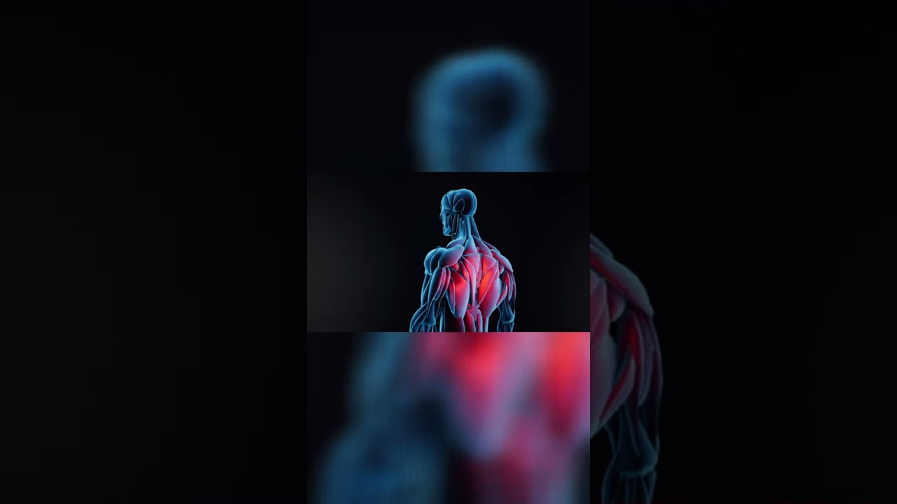 Why Do We Swing Our Arms While We Walk ? 🤔