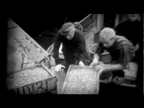Ede Staal - Genoat (dvd versie)