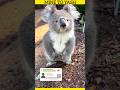 rare animal for human comparision now this finger print
