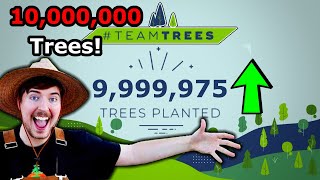 MrBeast Plants 10 Million Trees!! (TeamTrees Hitting 10M)