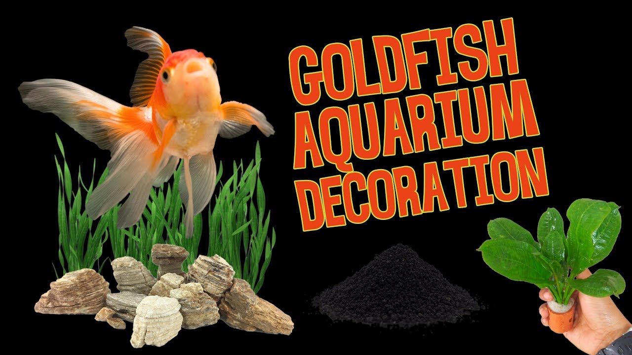 goldfish tank decoration ideas goldfish tank decoration ideas