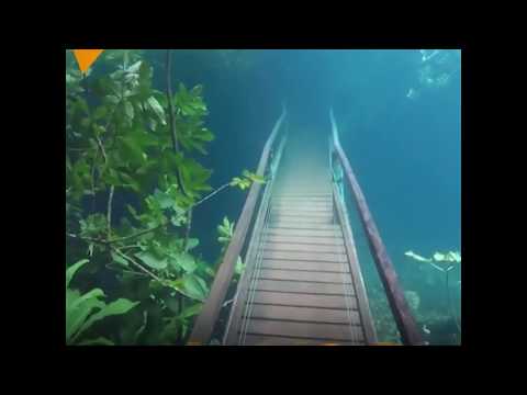 Nature Reserve in Brazil Transformed into an Underwater Wonderland After Heavy Rain