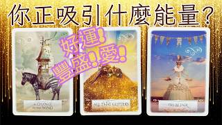 你就是能量吸引器!你正吸引這個！🌟塔羅.神諭.字母磚(CC字幕/ subtitle)