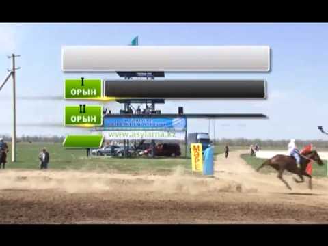 Asyl arna. Асыл арна. Бәйге. Жылқы. Ат
