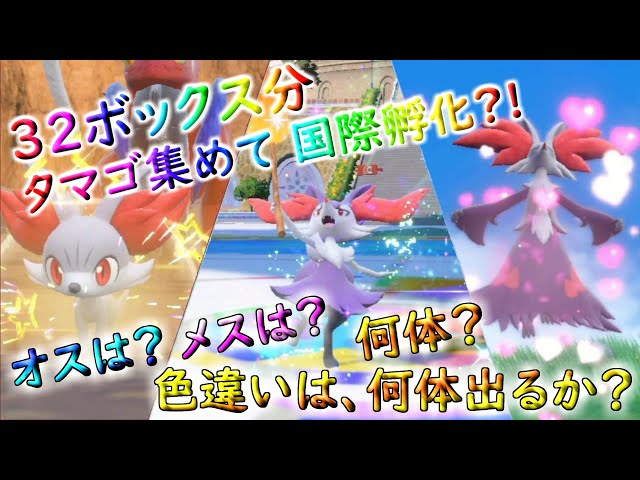 「八斎衆」鉄砲玉ページ オス色違いへ変更 ケースなし・希望ポケモン3体 sddefault.jpg