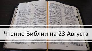 Bible Reading for August 23: Psalm 54, Gospel of Mark 3, Book of Isaiah 59, 60