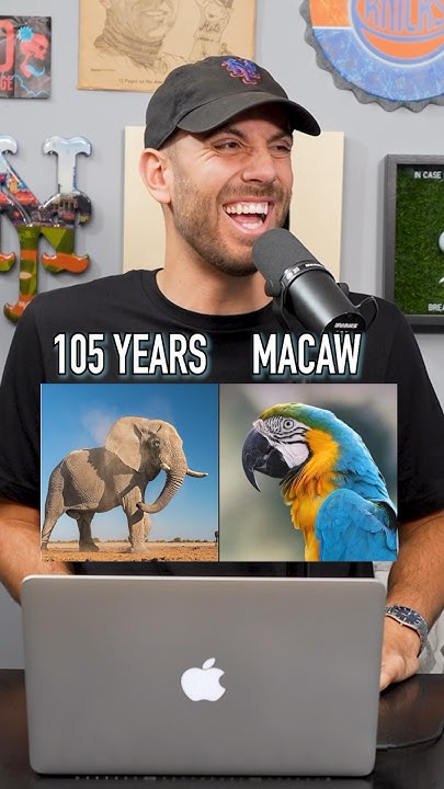 Which Animal Can Live Longer These Are Crazy shorts animal which-animal-can-live-longer-these-are-crazy-shorts-animal