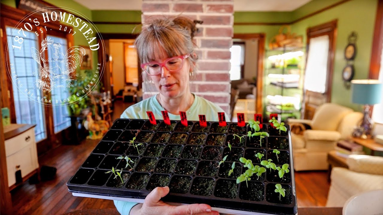 I Killed Them and Almost Gave Up | Starting Again