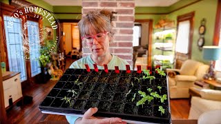 I Killed Them and Almost Gave Up | Starting Again