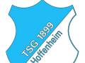 Tsg 1899 hoffenheim stadionhymne ol ol  super tsg