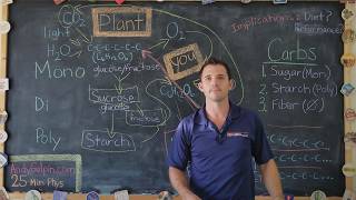 Carbs vs Fats  Clarifying the Confusion: 25 Min Phys