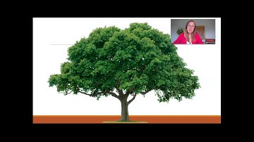 BCOM 4350 Theory Intro